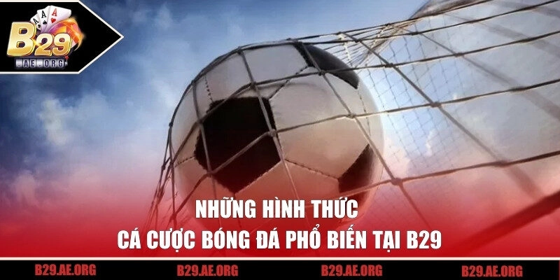 Điểm danh các loại hình cá cược phổ biến nhất