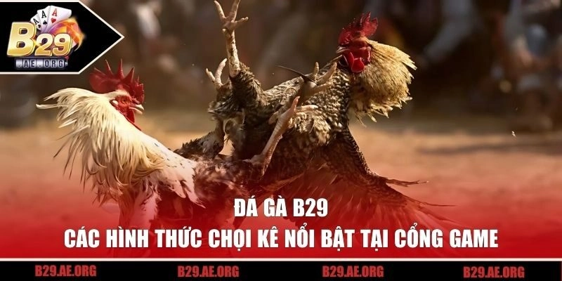 Các hình thức chọi kê nổi bật tại cổng game B29
