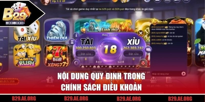 Nội dung quy định tại chính sách điều khoản B29