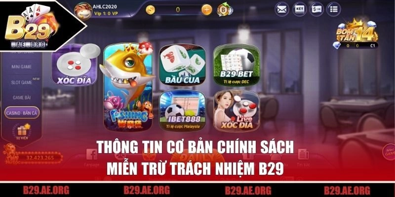 Thông tin cơ bản chính sách miễn trừ trách nhiệm B29