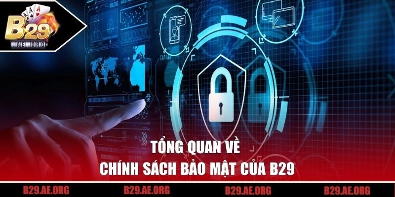 Tổng quan về chính sách bảo mật của B29